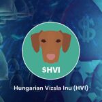 Hungarian Vizsla Inu