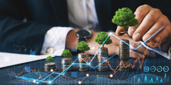 Disciplined Investing